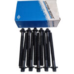 Sada skrutiek hlavy valcov Peugeot Boxer Citroen Jumper 2.0 hdi E6